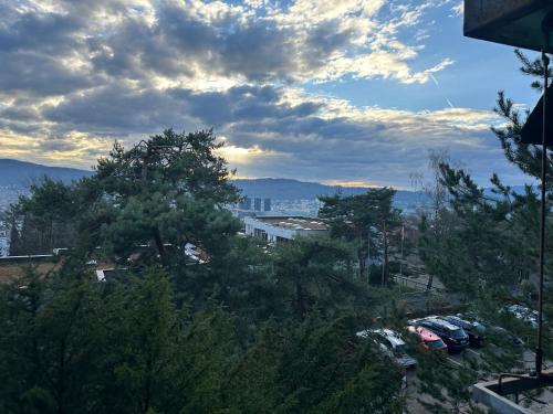 a view of a city with cars and trees at Lovely room, 15 min from center, mountain view in Zürich