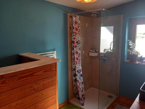a bathroom with a shower with a glass door at Maison en bois à la campagne proche vilaine in Férel