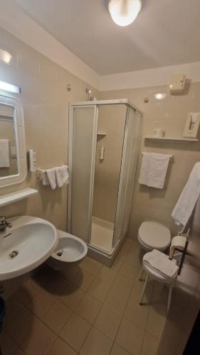 a bathroom with a shower and a sink and a toilet at Hotel Sella Ronda Serenella in Campitello di Fassa
