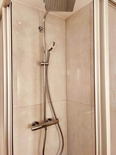 a shower with a shower head in a bathroom at Apartments La Rosa in Rust