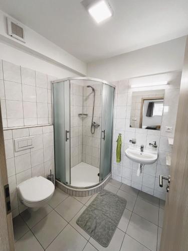 a bathroom with a shower and a toilet and a sink at Penzion Vinařská in Polešovice