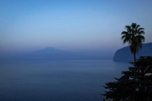 a palm tree and the ocean on a foggy day at Parco dei Principi in Sorrento