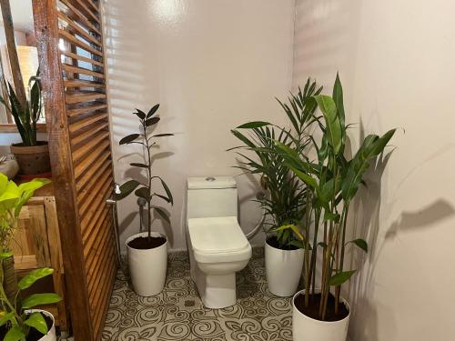 Un baño de DucknChill-Agonda