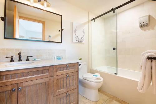 a bathroom with a sink and a toilet and a shower at Large Village loft with Private Hot Tub and Private Sauna in Whistler
