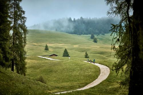 a group of people on a dirt road in a field at COMO Alpina Dolomites in Alpe di Siusi