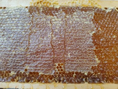 a close up of a cake with beads on it at Agriturismo Frutti Antichi - Melograno in Fano