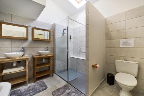 La salle de bains est pourvue d'une douche, de toilettes et d'un lavabo. dans l'établissement Domaine - Vignoble - Jacuzzi - Sauna - 14 à 18 pers, à Roquetaillade