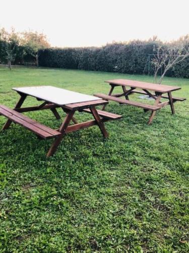 two picnic tables sitting on the grass in a field at Villa 320m2 a 1h30 de Paris in Montcresson