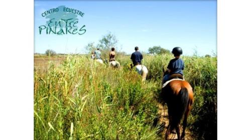 a group of people riding horses in a field at Hotel Lince in Aznalcázar