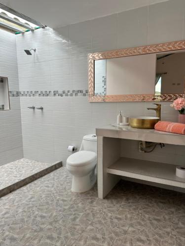 a bathroom with a toilet and a sink and a mirror at Alojamiento en Lago Calima, chalets de montaña con piscina y jacuzzi in Yotoco