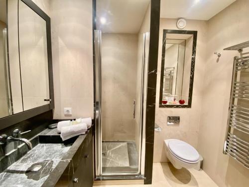une salle de bain avec toilettes, lavabo et douche dans l'établissement Résidence Gray d'Albion 2P 5402, à Cannes