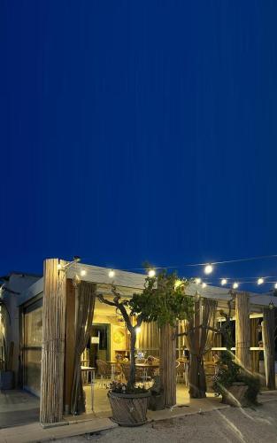 a building with trees in front of it at night at TENUTA DOROLIVO in Otranto