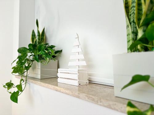 a shelf with a christmas tree and plants on it at Domus Sofia Historic Center Rimini Apartment in Rimini