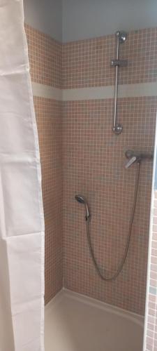 une douche avec pommeau de douche dans une salle de bain dans l'établissement Studio privatif, à Lespignan