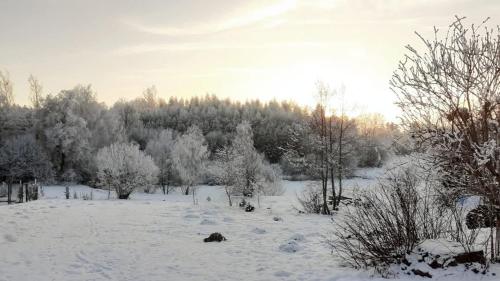 a snow covered field with trees in the background at Wypoczynek Kocia Góra in Dziemiany