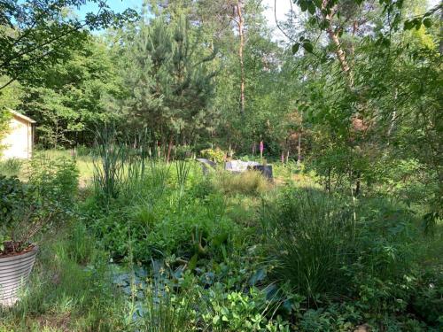 a garden with tall grass and trees at Mc Ghil in Baarle-Nassau-Grens