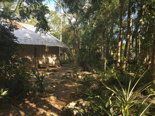Taman di luar barefoot jungle studios
