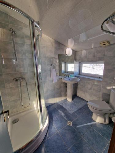 a bathroom with a shower and a toilet and a sink at Panorama in Gudauri