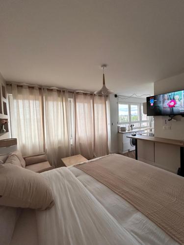 une chambre avec un grand lit et une télévision à écran plat dans l'établissement Studio cosy et apaisant, à Metz