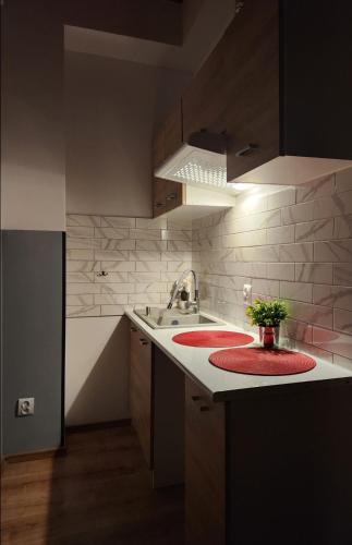 a kitchen with a sink and red mats on the counter at Pod Czaplą in Warsaw