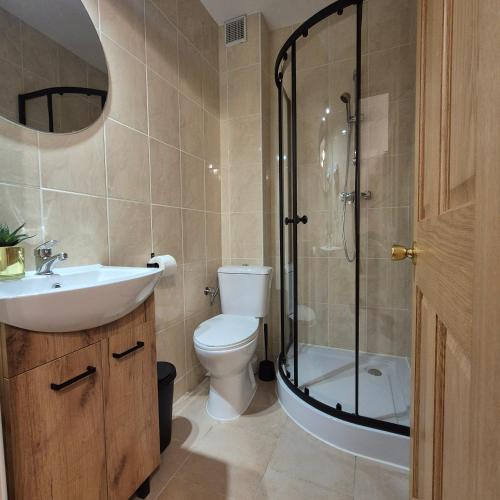 a bathroom with a shower and a toilet and a sink at Pino House in Zakopane