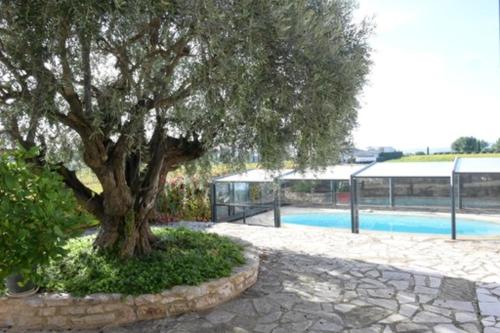 un arbre assis à côté d'une piscine dans l'établissement La Maison du Vigneron, à Montpeyroux