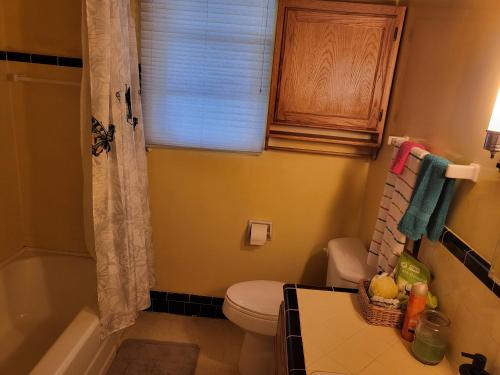 a bathroom with a toilet and a sink and a window at Top of the Hill Guest House in Truth or Consequences