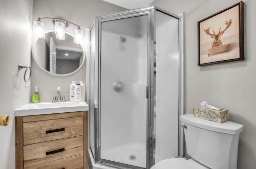 a bathroom with a shower and a toilet and a sink at Family townhouse with Fireplace in Ellicottville