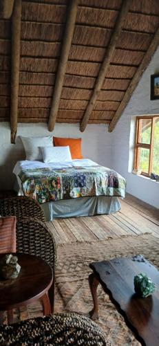 Χώρος καθιστικού στο Oysterbay Nature Retreat