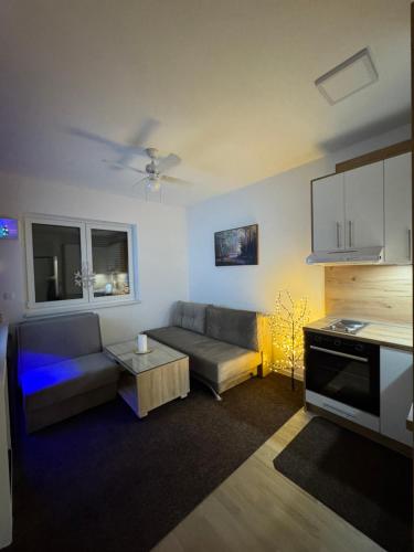 a living room with a couch and a table at Bjelašnica Apartman Cezar in Bjelašnica