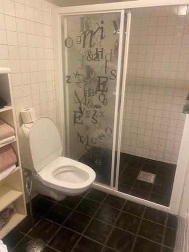Koupelna v ubytování Vindsvånimg
