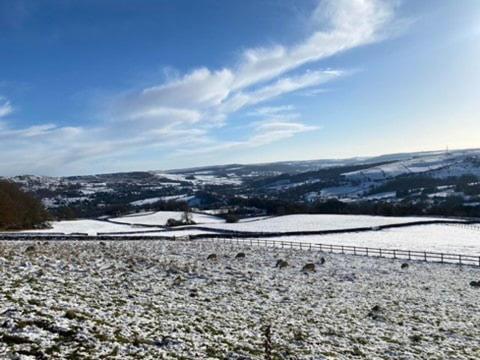 Gallery image of Pretty Wood Cottage in Eyam