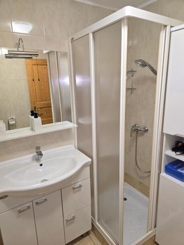 Koupelna v ubytování Apartmaji PRI JUNESKO