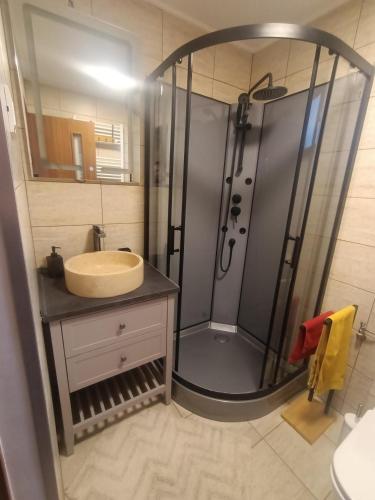 a bathroom with a shower and a sink at Casa La Măriuca in Bran
