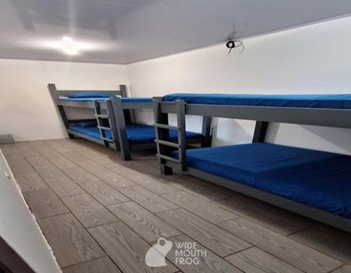 a room with three bunk beds and a wooden floor at Wide Mouth Frog Quepos in Manuel Antonio