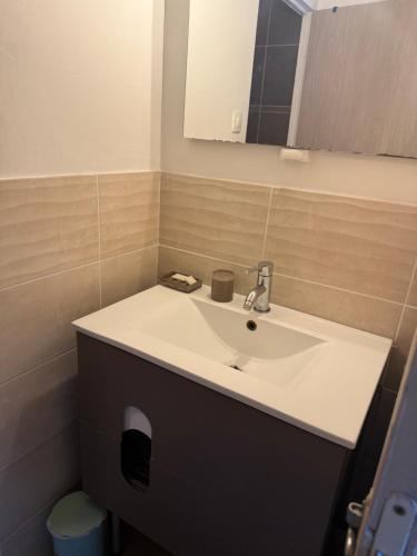 a bathroom with a white sink and a mirror at gites de Warincthun in Audinghen