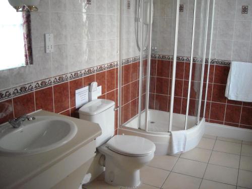 a bathroom with a toilet and a shower and a sink at Townstal Farmhouse in Dartmouth