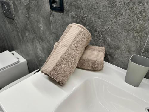 een handdoek bovenop een wastafel bij Alvina's House in Aosta