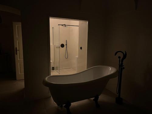 a bath tub in a bathroom with a shower at Residence London 1891 - design apartments in Karlovy Vary