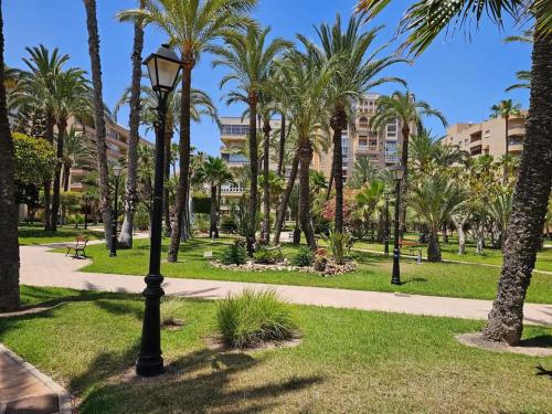 El Palmeral playa de los locos