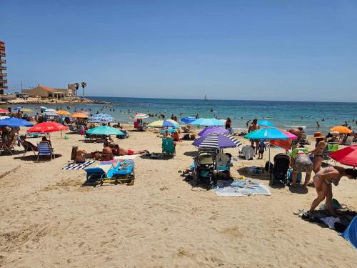 El Palmeral playa de los locos