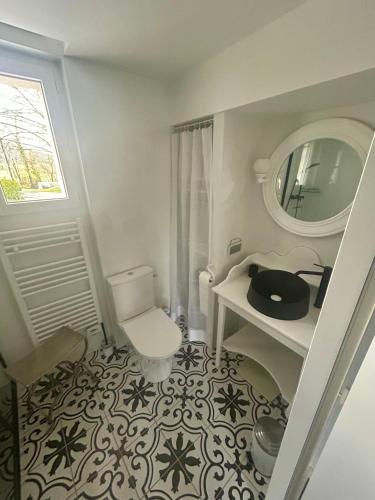 une salle de bain avec toilettes, lavabo et miroir dans l'établissement La Maison D'Edouard, à Montastruc-de-Salies