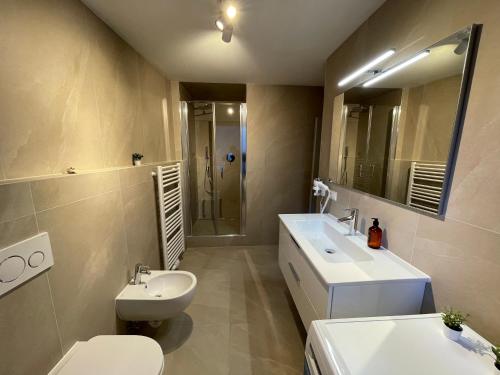 メラーノにあるRosa Apartments City Centerの洗面台、トイレ、シャワー付きのバスルーム