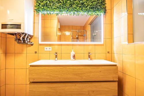 un bagno con lavandino e specchio di Charming 1BR and 1LR Apt Modern Design Donaustadt a Vienna