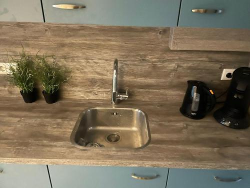 a kitchen counter with a sink and two potted plants at Bungalow for 12 guests on holiday park Vosseven in Stramproy