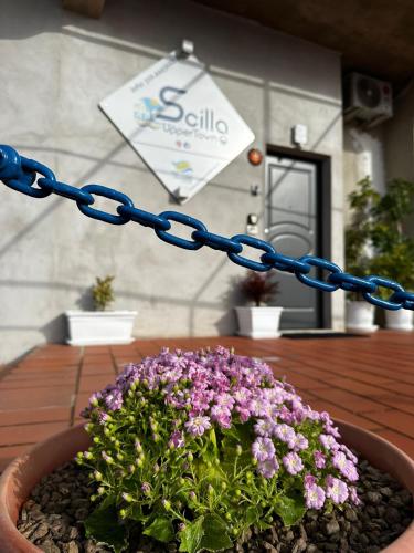 a pot of flowers on a table with a chain at B&B Scilla Town in Scilla