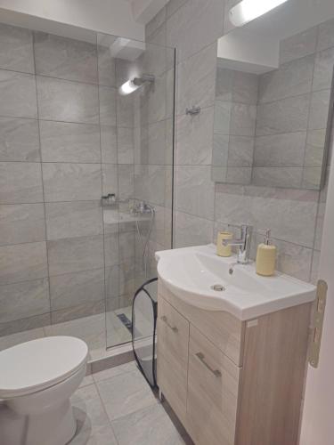 a bathroom with a shower and a toilet and a sink at Eirini's cozy studio in Thérissos