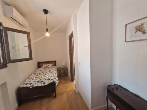 Habitación individual tranquila con baño privado en piso compartido