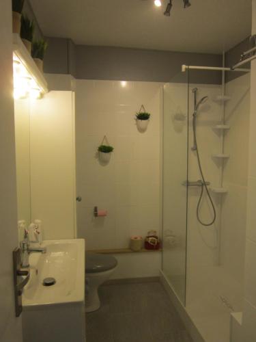 une salle de bain avec une douche, des toilettes et un lavabo dans l'établissement Appart F2 à 150 M de la plage avec parking privé, à Cerbère
