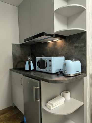 a kitchen with a counter top with a microwave at Border studio Grafovi in Narva